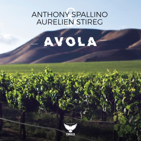 Avola (Original Mix) ft. Aurelien Stireg cover art