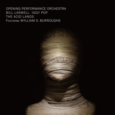 The Acid Lands (Ambient Mix-Translation) ft. Opening Performance Orchestra cover art
