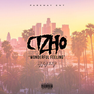 Wonderful Feeling ft. Xtassy cover art