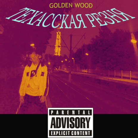 Техасская резня cover art