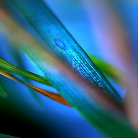 Listen to the Wind cover art