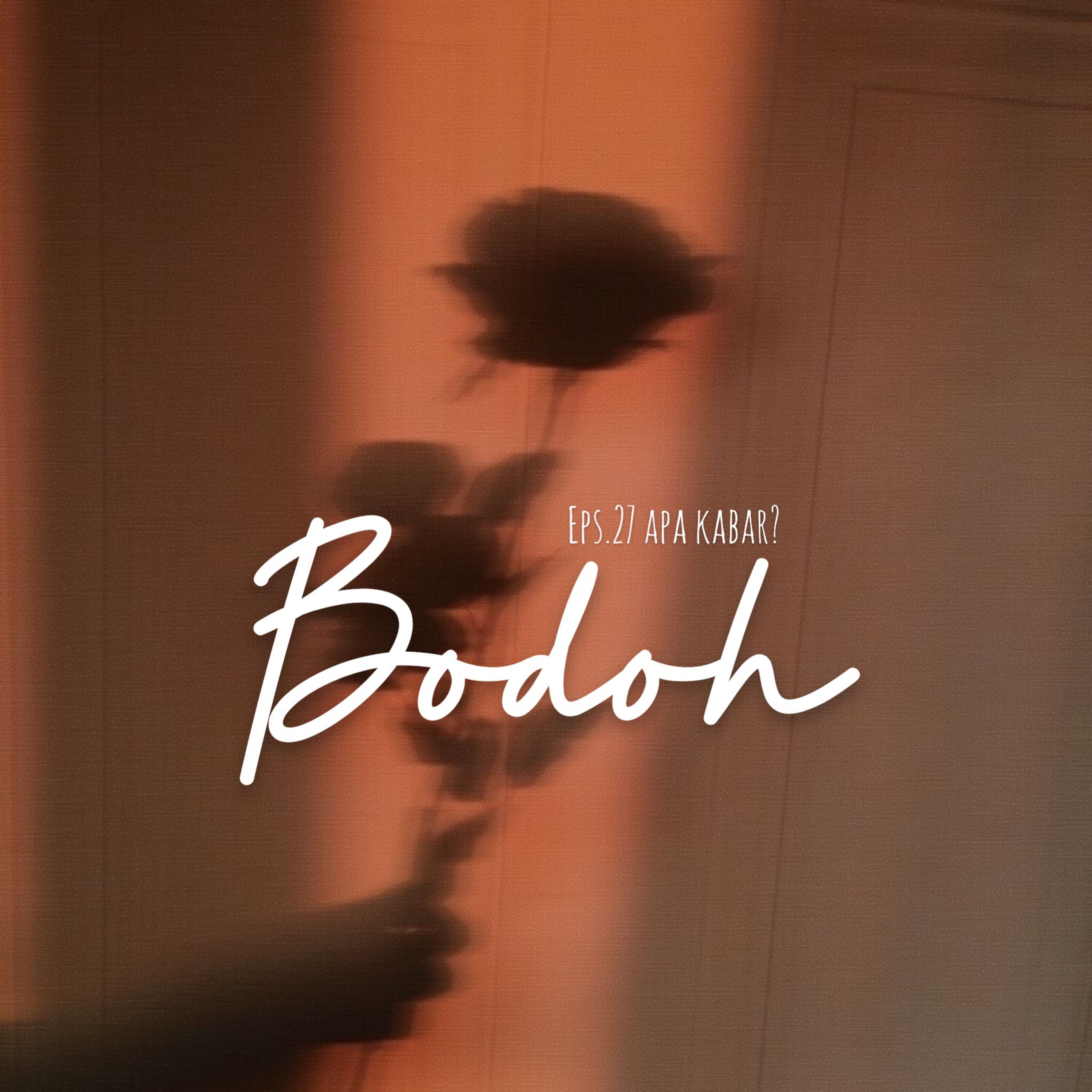 27. Bodoh cover art