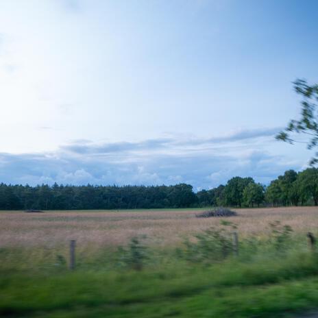 Clouds Above