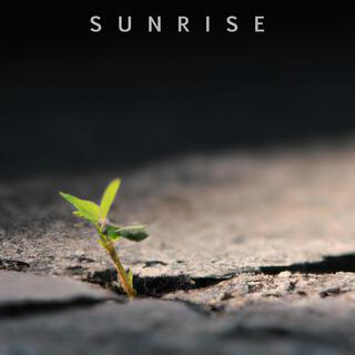 Sunrise (Original Motion Picture Soundtrack) cover art