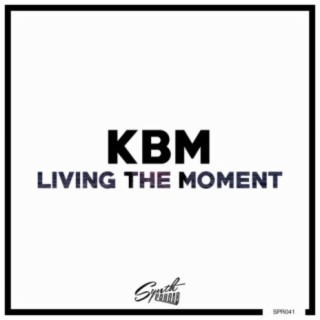 Living The Moment (Original Mix) cover art