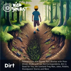 Dirt cover art