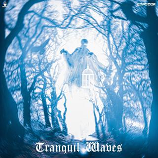 Tranquil Waves cover art