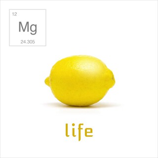 Life