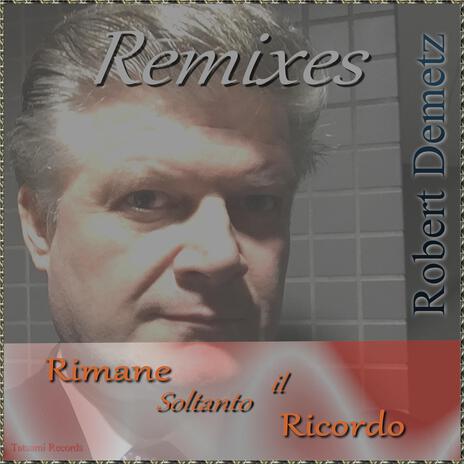 Rimane soltanto il ricordo (chinese walls - intrumental) cover art