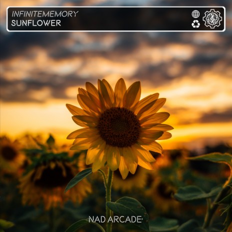 Sunflower cover art