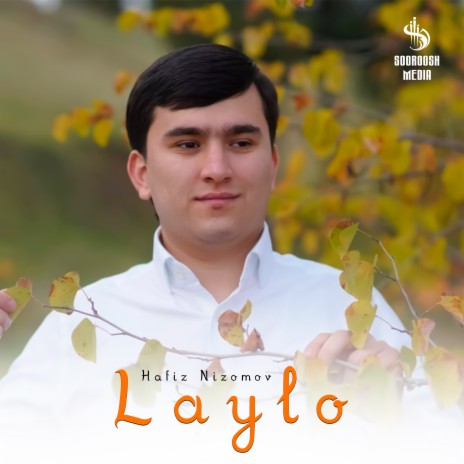 Laylo cover art