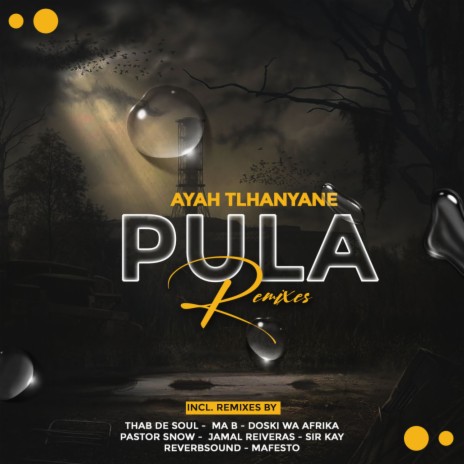 Pula (feat. DoctorNews) (Sir Kay's African Remix) cover art
