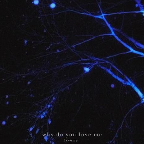 why do you love me cover art