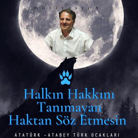Türklerin derdine devasın cover art