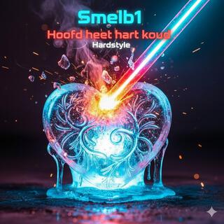 Hoofd Heet Hart Koud (b) cover art