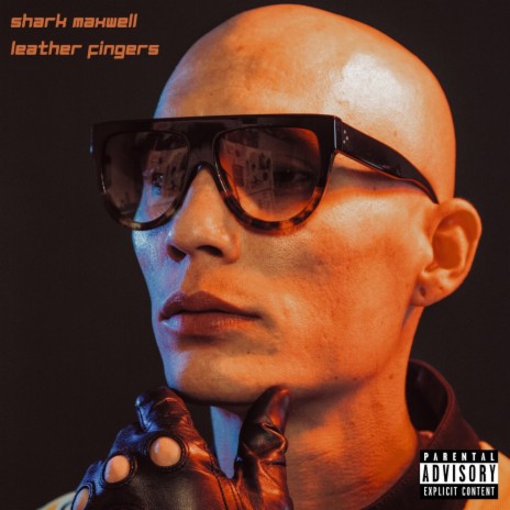 Shark in the Water cover art