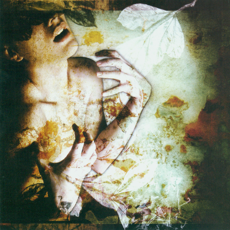 The Beggar cover art