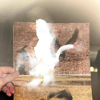 My Petswan Remixed