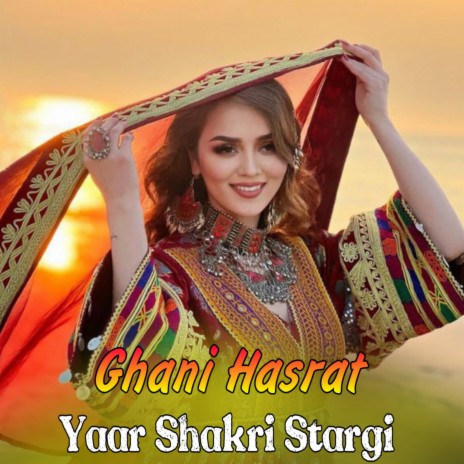 Zeri Me Dar Bandi cover art