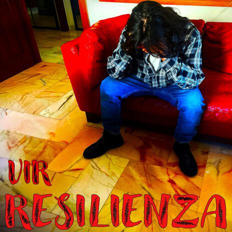 Vedo la fenice cover art