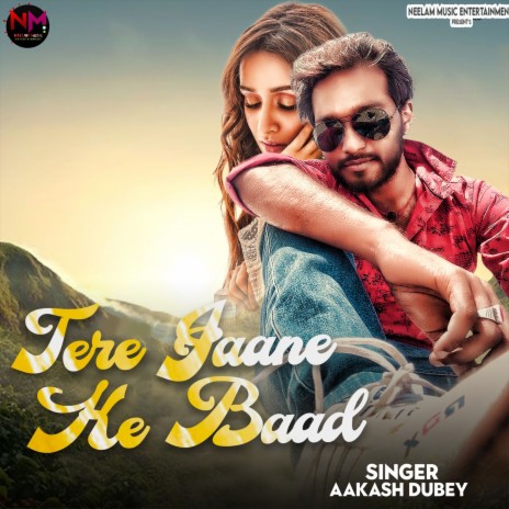 Tere Jaane Ke Baad cover art