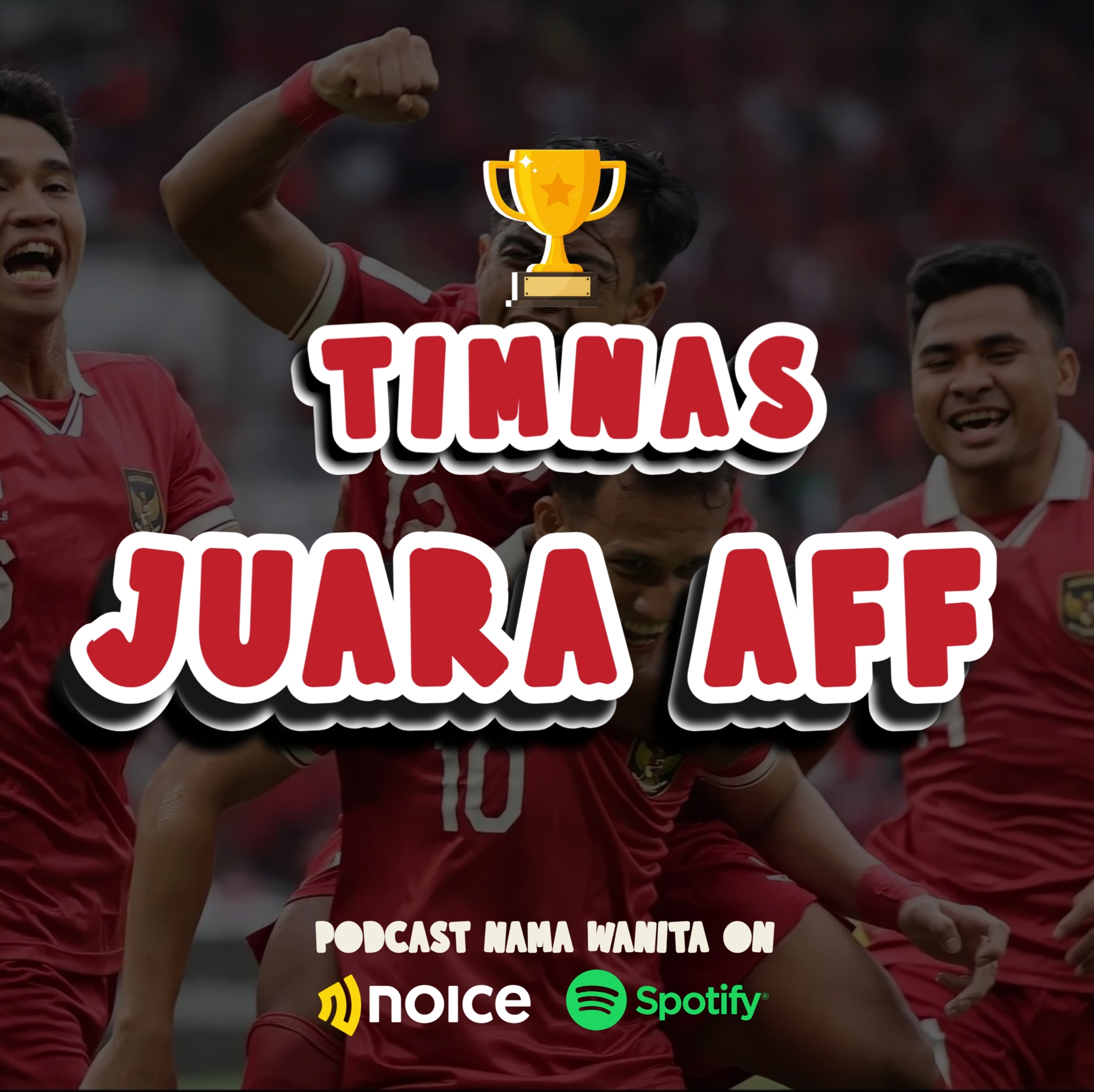 Timnas Juara Piala AFF cover art