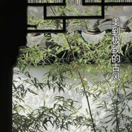 白羽