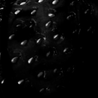 The Dark Side Of The Strawberry