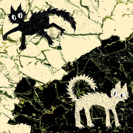 Bi katu cover art