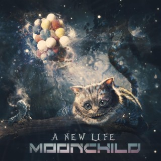 A New Life