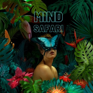 Mind Safari cover art