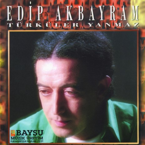 Çıksam Issız Dağlara cover art