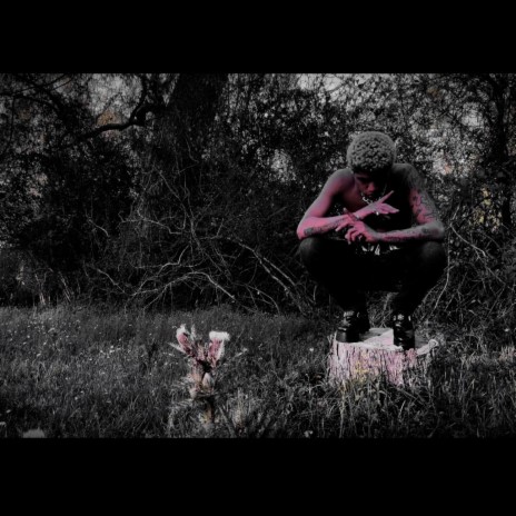 LUCID FREESTYLE cover art
