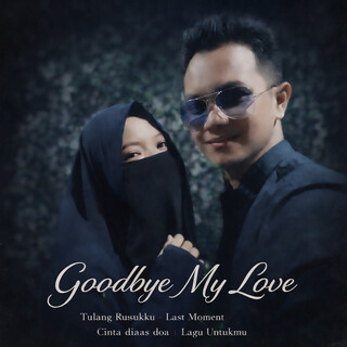 Goodbye My Love