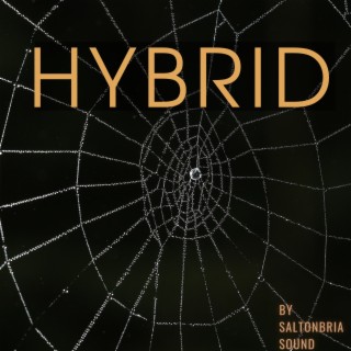 Hybrid