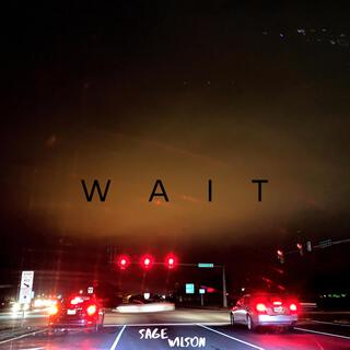 Wait cover art