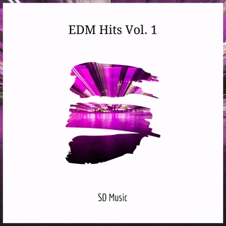 EDM Hits, Vol. 1
