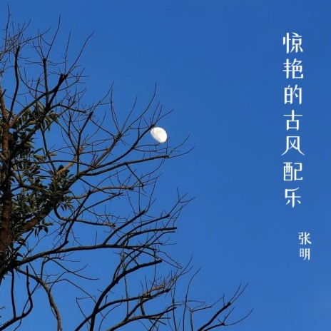 惊艳的古风配乐1 cover art
