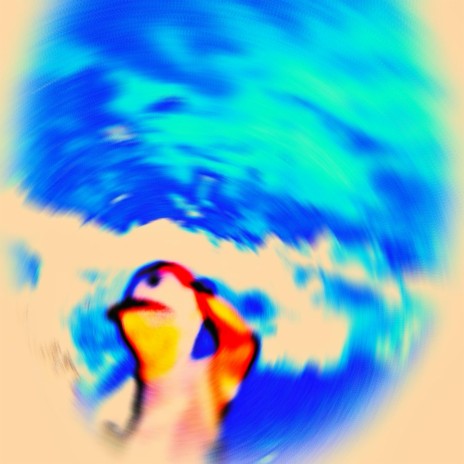 shine cover art