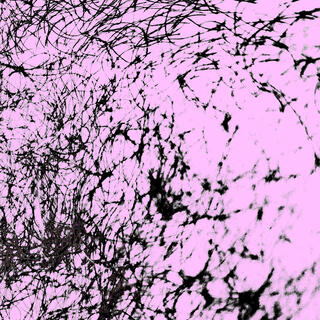 nourish manifestations