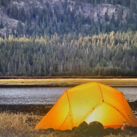 Camping ft. The Wild Walkers, Natural Perspectives, Into the Earth & Luvial Dreams cover art
