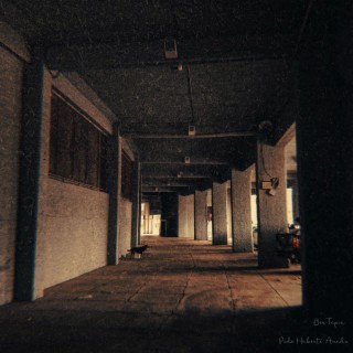 Pude Haberte Amado cover art