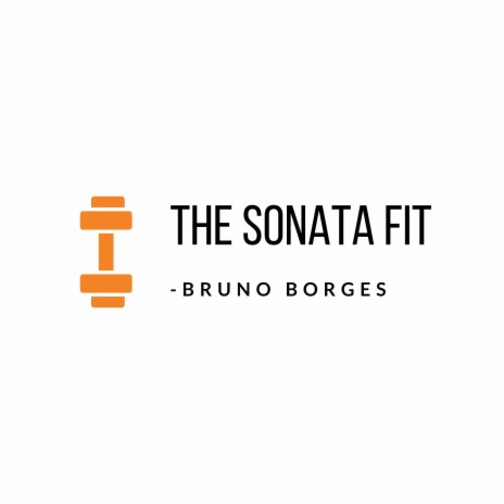 The Sonata Fit cover art