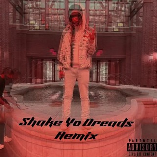 Shake Yo Dreads (Remix) cover art