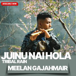 Meelan Gajahmair