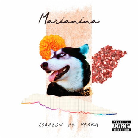 Cumbia de La Media Luna cover art