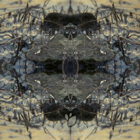 Constellation Creek