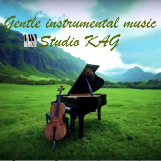 Gentle instrumental music cover art