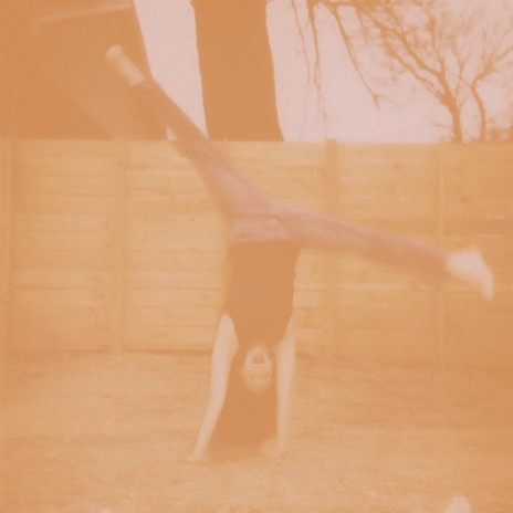 Daisies cover art