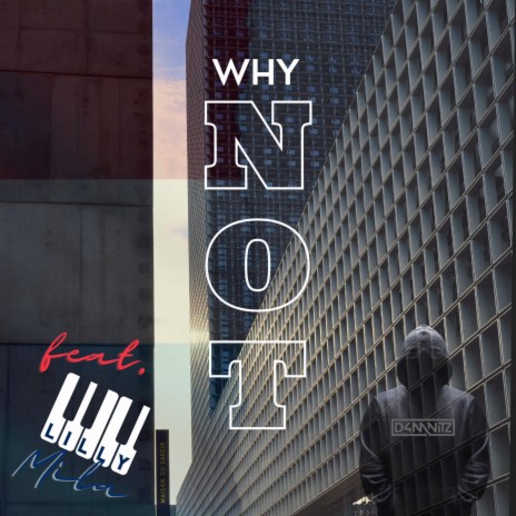 Why Not!? (Radio Edit) ft. Lilly Mila cover art